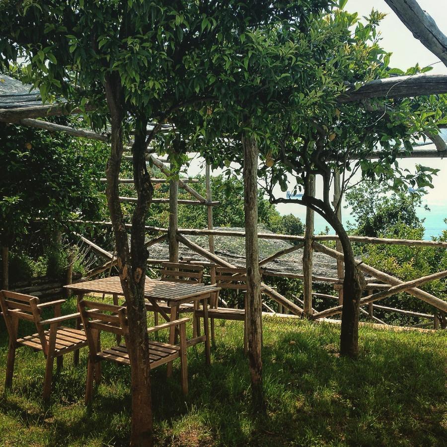 VietriCasa Flora住宿加早餐旅馆 外观 照片