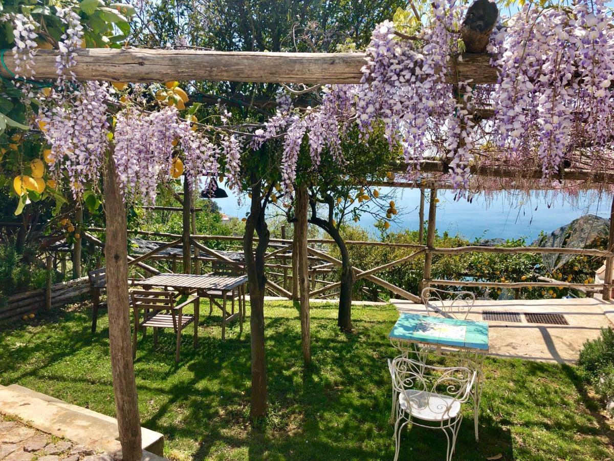 VietriCasa Flora住宿加早餐旅馆 外观 照片