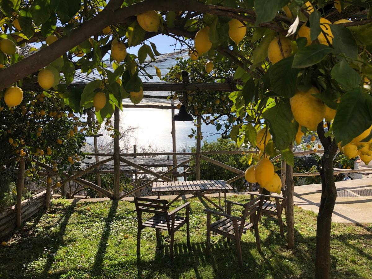 VietriCasa Flora住宿加早餐旅馆 外观 照片