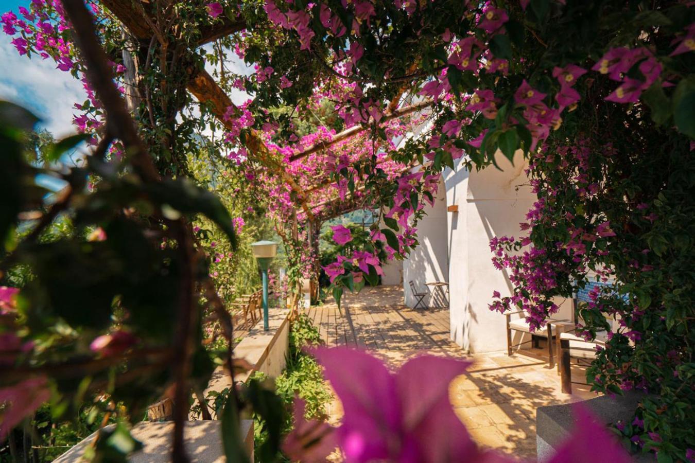 VietriCasa Flora住宿加早餐旅馆 外观 照片